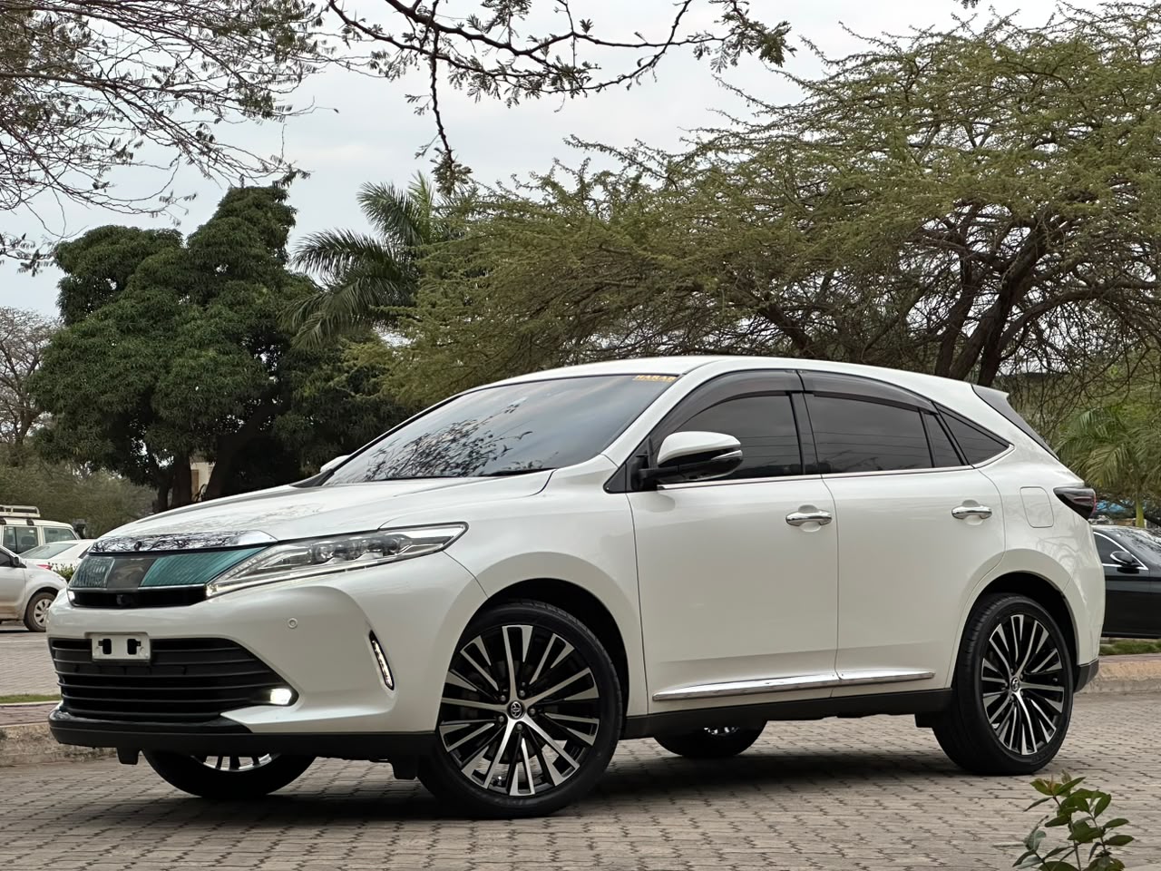 Toyota Harrier Anaconda thumbnail 2